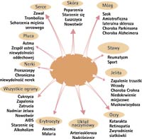Wolne rodniki